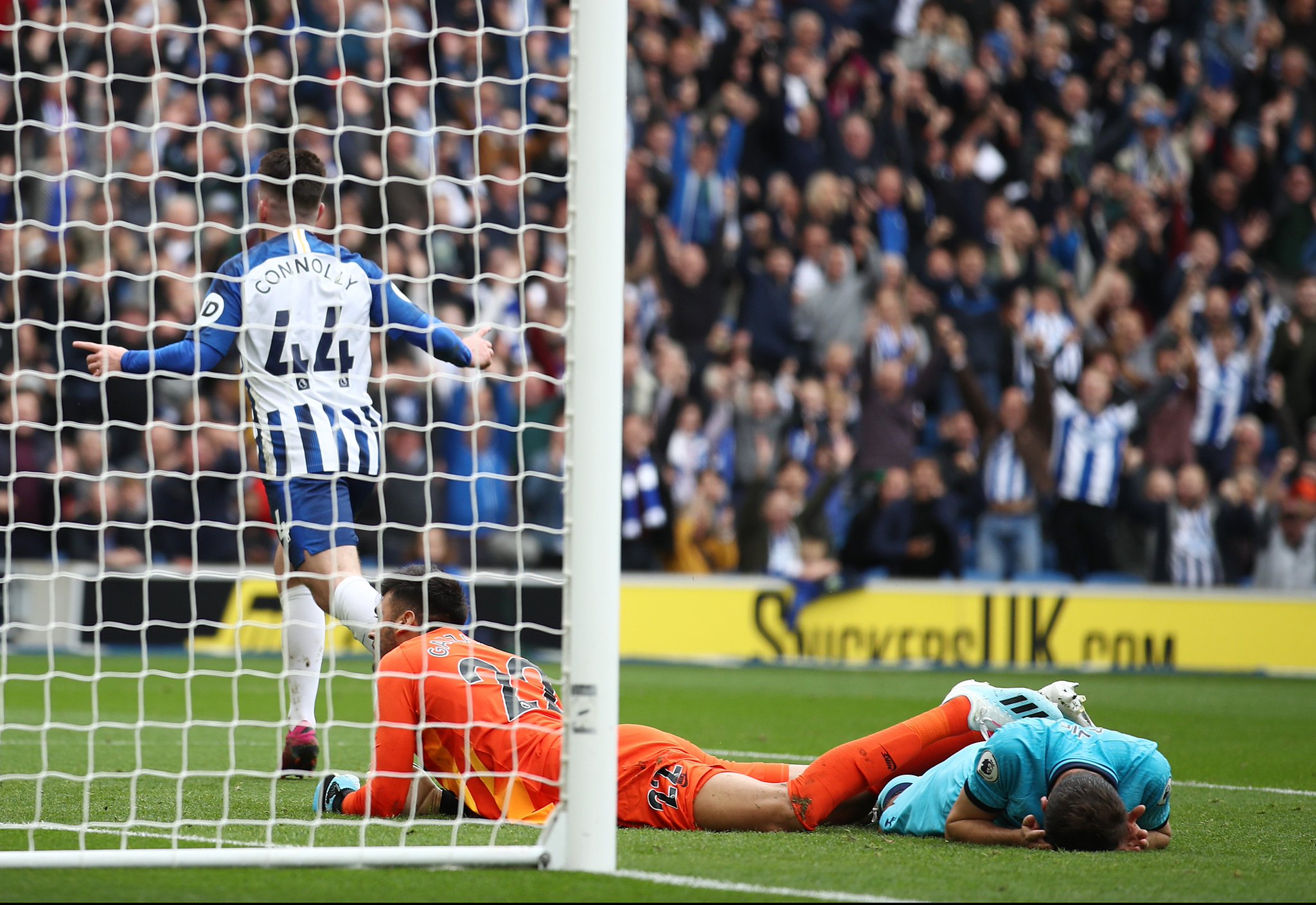 魅力与发展 魅力与发展