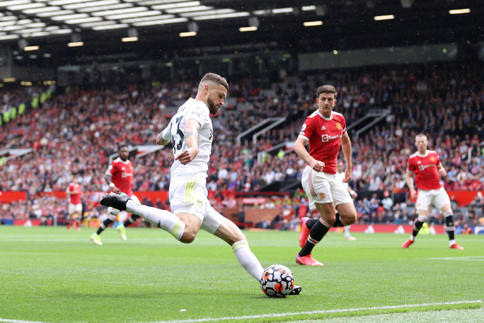 的市场领域 的市场领域